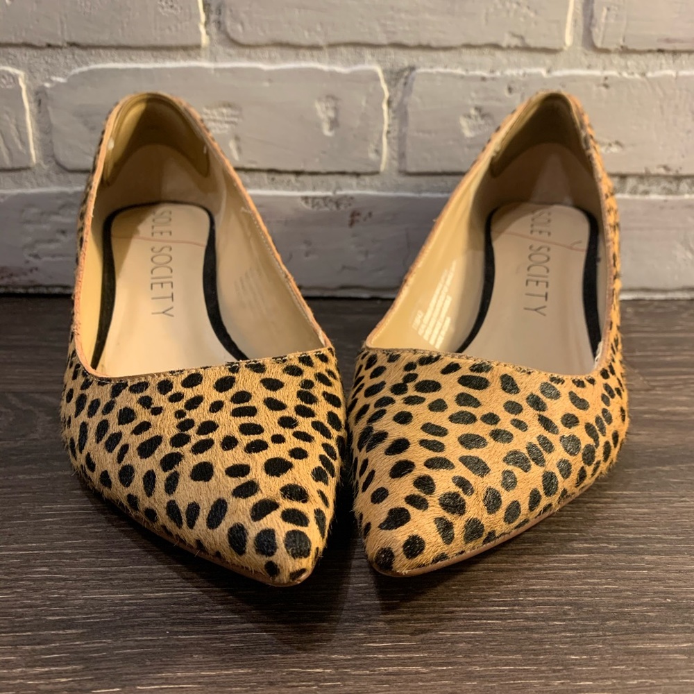 Sole Society Leopard Heels